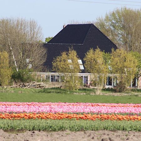 B&B Heeringhuusen Haringhuizen 외부 사진