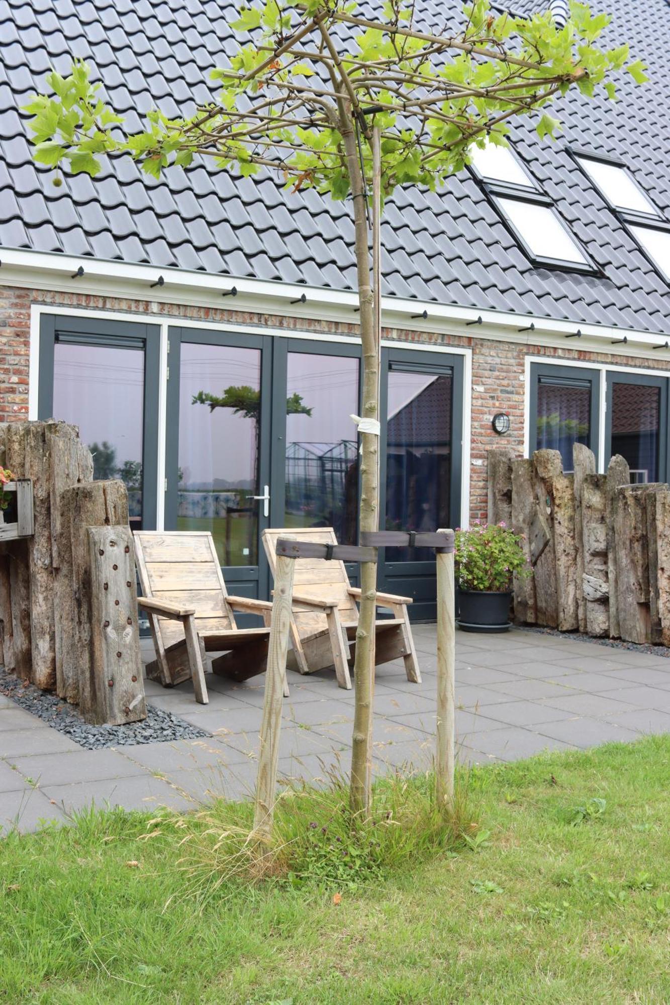 B&B Heeringhuusen Haringhuizen 외부 사진